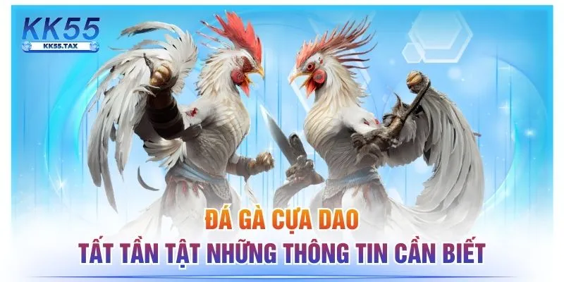Đá Gà Cựa Dao - Tất Tần Tật Những Thông Tin Cần Biết