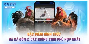 Đặc Điểm Hình Thức Đá Gà Đòn & Các Giống Chọi Phù Hợp Nhất