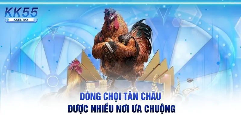 Dòng chọi Tân Châu được nhiều nơi ưa chuộng