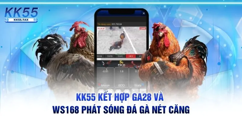 KK55 kết hợp GA28 và WS168 phát sóng đá gà nét căng